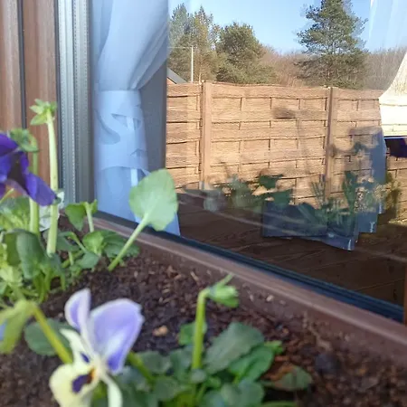 Semesterbostad Dom Na Kaszubach