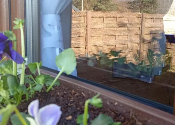 Semesterbostad Dom Na Kaszubach